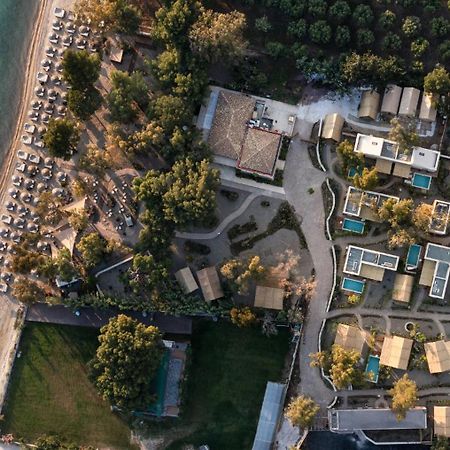 Ergon Beach House Nikiti Extérieur photo